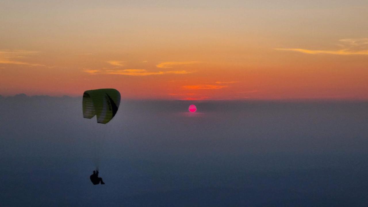 La Belle Histoire Gite Ventoux Bédoin Esterno foto